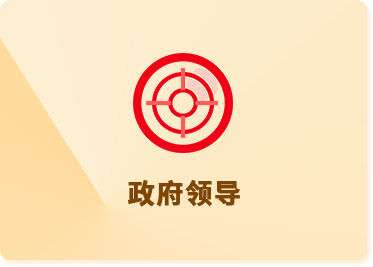 政府領(lǐng)導(dǎo)